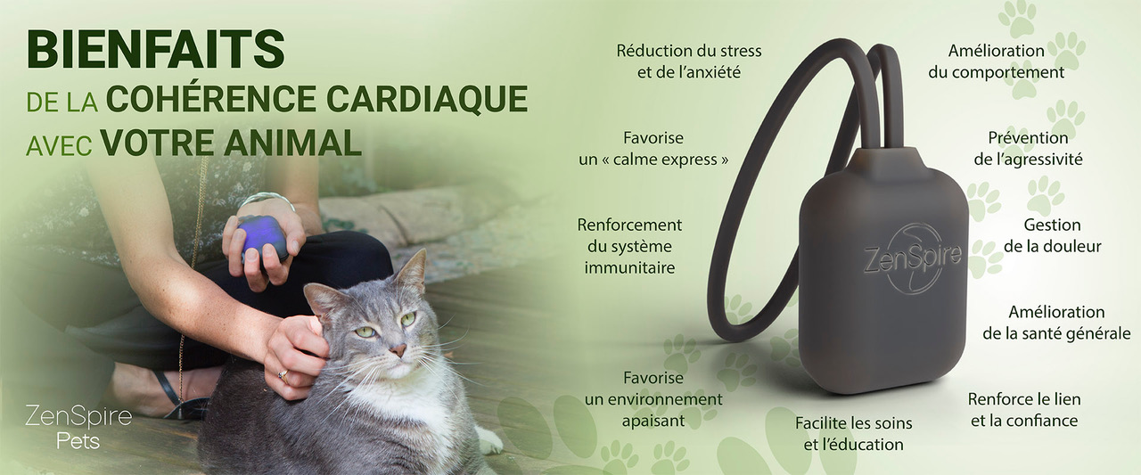 Bienfaits de la cohérence cardiaque avec votre animal